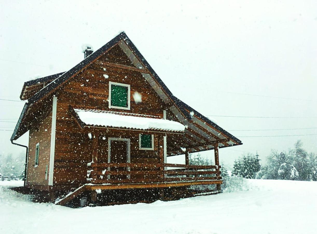 Chalets Zelena Vrata Fužine Kültér fotó